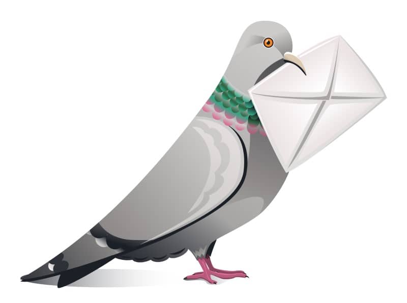 A world before email? We used carrier pigeons?
